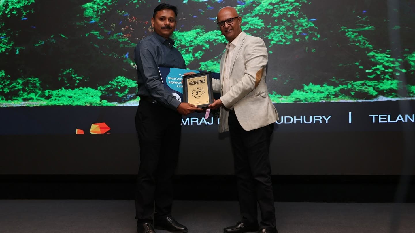 Award presentation on stage