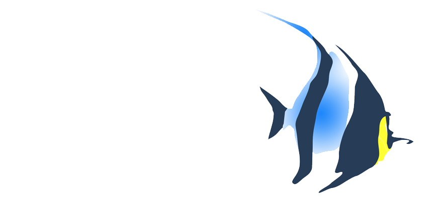 Still Water Aquatics